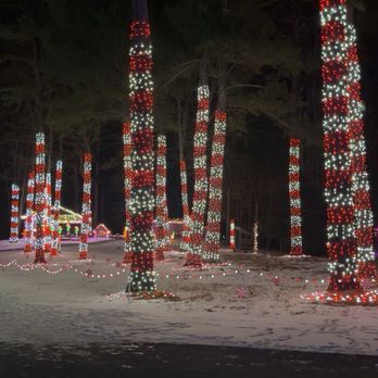Silver Bell Farm - Candy cane forest - Christmas Trees Near Me - Monson, Massachusetts