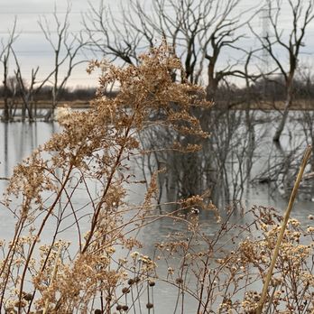 Van Patten Woods Forest Preserve - Boating Near Me - Wadsworth, Illinois