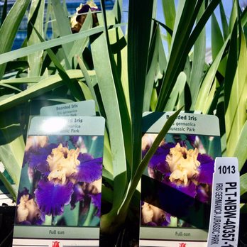 Meinke Garden Center - Nurseries & Gardening Near Me - Niles, Illinois