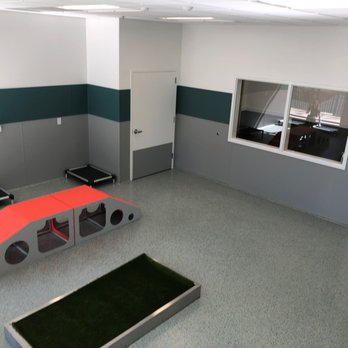 Wellhaven Pet Heatlh Bloomington - Small dog pet camp room is for smaller or older pets. - Veterinarians Near Me - Bloomington, Minnesota Wellhaven Pet Heatlh Bloomington - Small dog pet camp room is for smaller or older pets. - Veterinarians Near Me - Bloomington, Minnesota