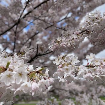 Centennial Park - Parks Near Me - Etobicoke, Ontario