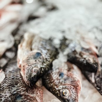 Rose's Seafood - Seafood Markets Near Me - Seabrook, Texas Rose's Seafood - Seafood Markets Near Me - Seabrook, Texas