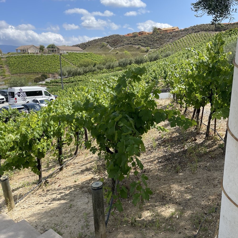 Oak Mountain Winery - Wineries Near Me - Temecula, California
