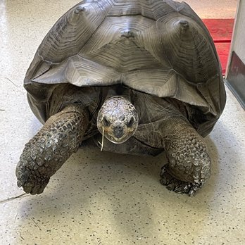 EcoVivarium - Museums Near Me - Escondido, California EcoVivarium - Museums Near Me - Escondido, California
