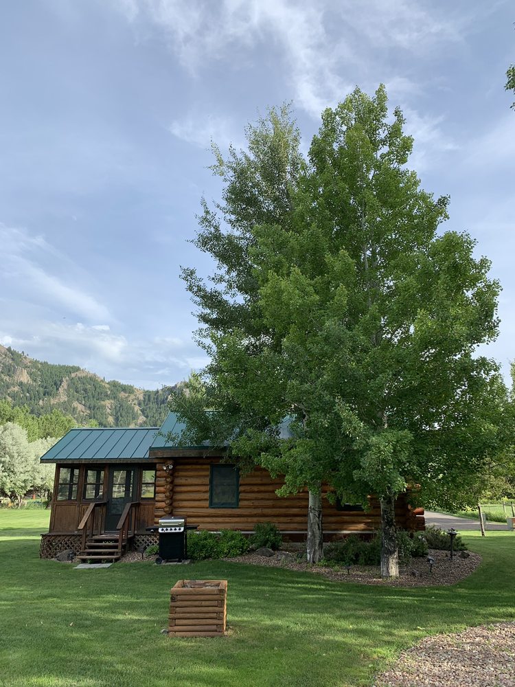 REEL TIME CABIN Updated July 2024 33 Meadow Ln, Cascade, Montana
