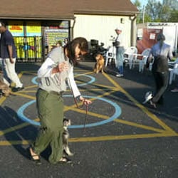 A-1 Total Control Dog Training Academy