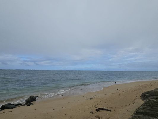 Punaluʻu Beach by null