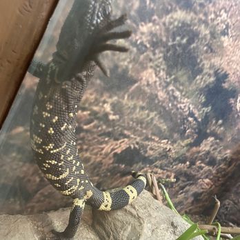 Oklahoma City Zoo - Zoos Near Me - Oklahoma City, Oklahoma Oklahoma City Zoo - Zoos Near Me - Oklahoma City, Oklahoma