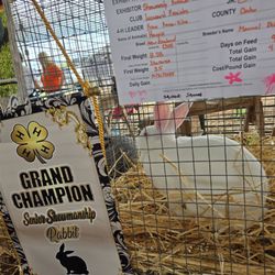 Hawaii State Farm Fair