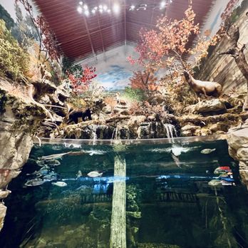 Bass Pro Shops - Guns & Ammo Near Me - Round Rock, Texas