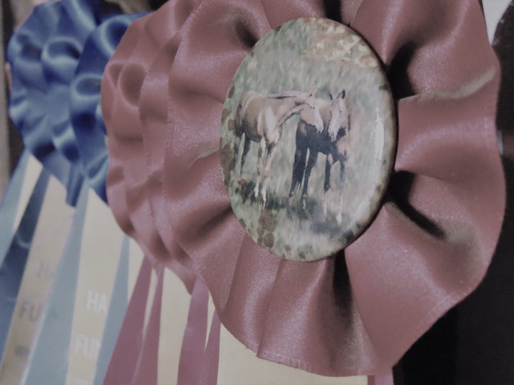 Whip-O-Will Stables - equestrian in Dudley, MA