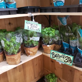 Trader Joe's - Grocery Near Me - Winter Park, Florida