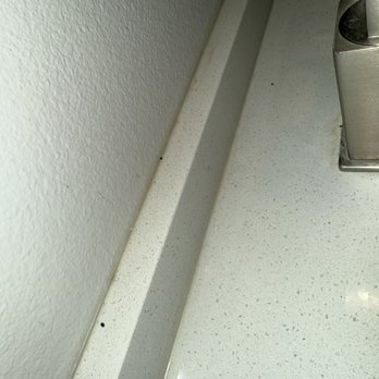 Home2 Suites by Hilton Euless DFW West - Mouse poop - Hotels Near Me - Euless, Texas Home2 Suites by Hilton Euless DFW West - Mouse poop - Hotels Near Me - Euless, Texas