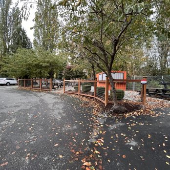 Tecalitlan Mexican Restaurant  - a tree in a parking lot - Mexican Near Me - Bellingham, Washington