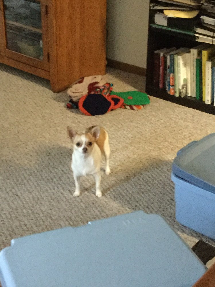 THE MAYFIELD 2850 Market Place Dr, Little Canada, Minnesota