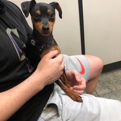 best 24 hour emergency vet near me