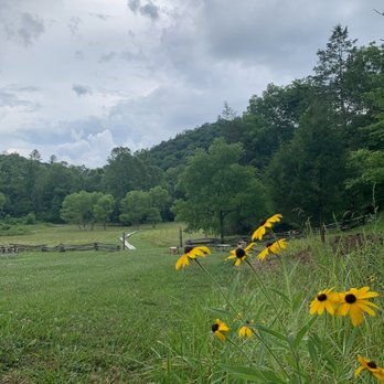Charit Creek Lodge - Field - Bed & Breakfast Near Me - Oneida, Tennessee