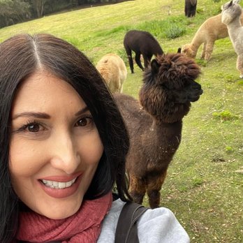 Canzelle Alpacas - Farms Near Me - Carpinteria, California Canzelle Alpacas - Farms Near Me - Carpinteria, California
