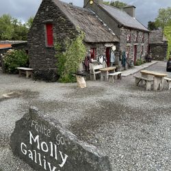 Molly Gallivans