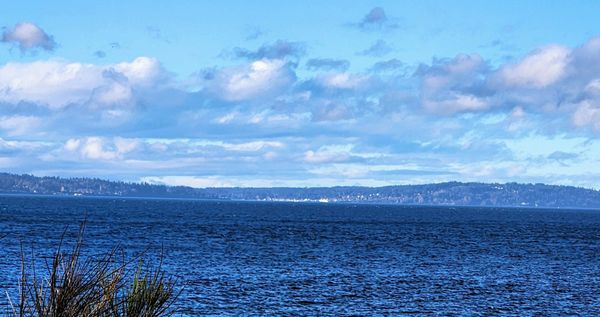 Carkeek Park by null