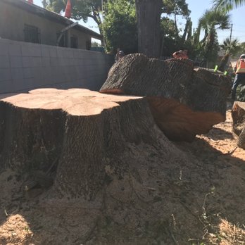 Green's Tree & Landscaping Care - Tree Services Near Me - South Gate, California