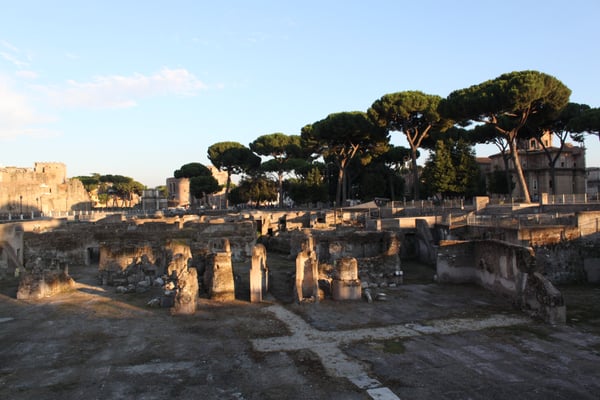 Roman Forum by null