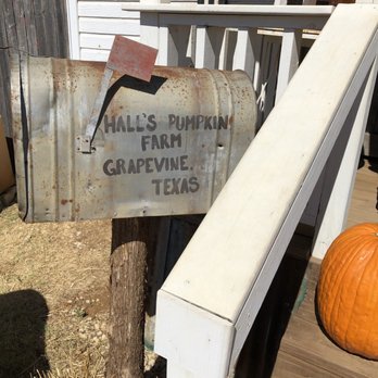 Hall's Pumpkin Farm - Right outside the cute little shop they have. - Pumpkin Patches Near Me - Grapevine, Texas Hall's Pumpkin Farm - Right outside the cute little shop they have. - Pumpkin Patches Near Me - Grapevine, Texas