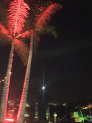 Brooklyn Mirage by null