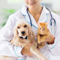 Whitecourt Veterinary Clinic