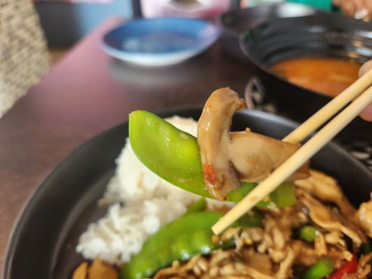 ANN THAI CUISINE by null