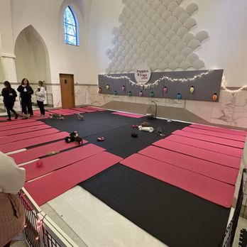 Puppies & Yoga - Puppy Yoga Setup - Yoga Near Me