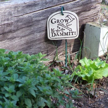 SEEDS - Community Gardens Near Me - Durham, North Carolina