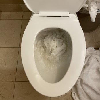 Comfort Inn & Suites - Clogged toilet with urine stains - Hotels Near Me - Meriden, Connecticut Comfort Inn & Suites - Clogged toilet with urine stains - Hotels Near Me - Meriden, Connecticut
