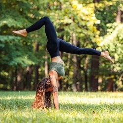 Celestine Yoga &  Movement Arts at Cirque de Vol - Handstand Workshops