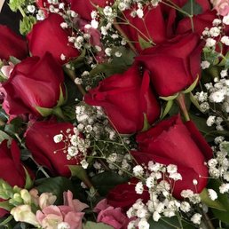 STUNNING LONG STEM RED ROSES FOR MY GIRL! STUNNING LONG STEM RED ROSES FOR MY GIRL!