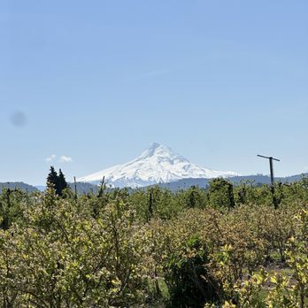 The Gorge White House - Wineries Near Me - Hood River, Oregon