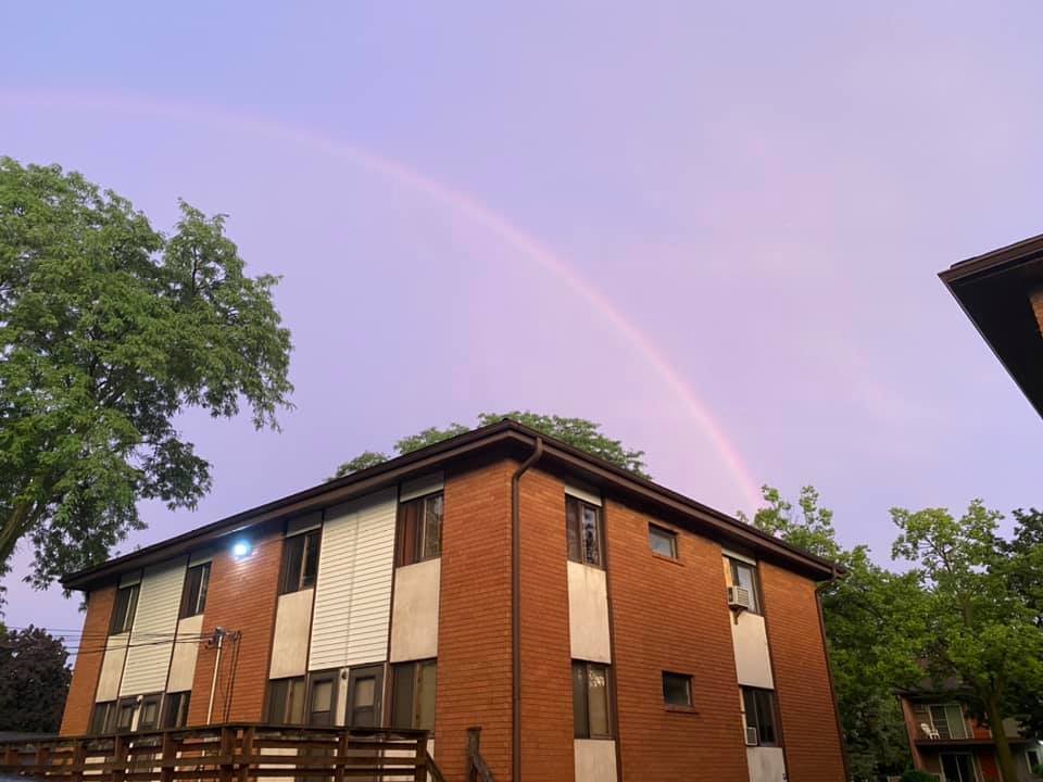 Women In Transition - social services organization in Madison, WI