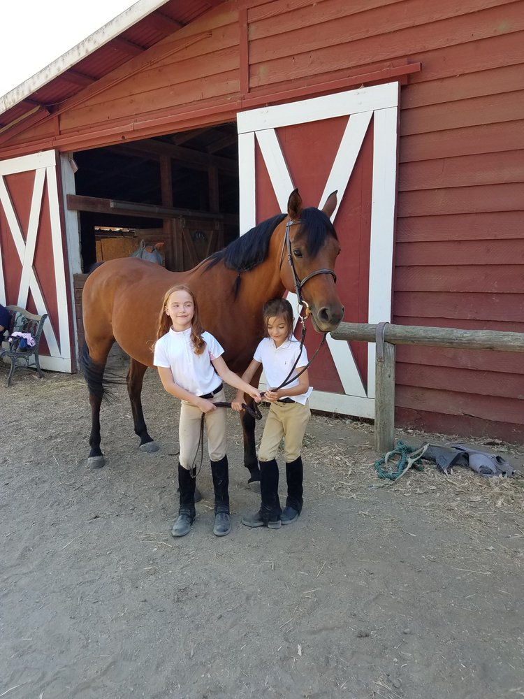 TOPIARY FARMS 67 Photos & 20 Reviews Horse Boarding 5204 Maple Rd