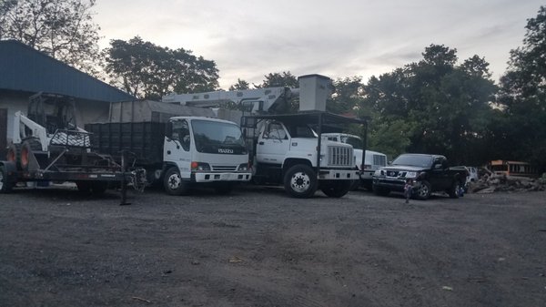 JAY TREE SERVICE - Updated May 2026 - 26 Photos - Croydon, Pennsylvania ...