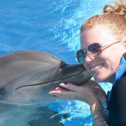 Dolphin Discovery Tulúm - Akumal