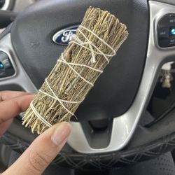 Hot Wax Glass South Tampa - Sage