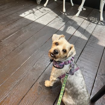 Liz's Cafe Anybody's Bar - We are here for brunch :) - Bars Near Me - Provincetown, Massachusetts Liz's Cafe Anybody's Bar - We are here for brunch :) - Bars Near Me - Provincetown, Massachusetts