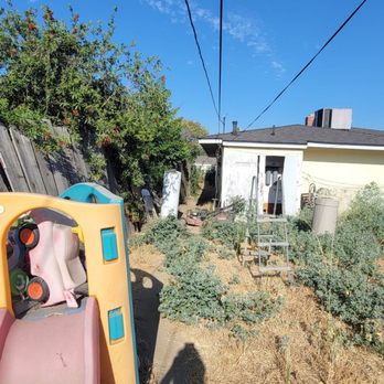 Roth Landscaping - Our weed infested backyard! - Landscaping Near Me Roth Landscaping - Our weed infested backyard! - Landscaping Near Me