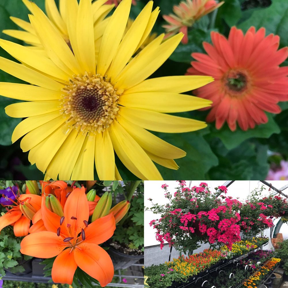 DEXTER MILL 15 Reviews 3515 Central St, Dexter, Michigan