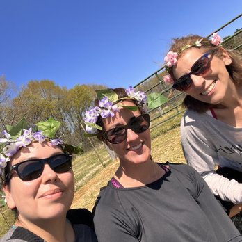 Goat Yoga Shoals - Yoga Near Me - Tuscumbia, Alabama