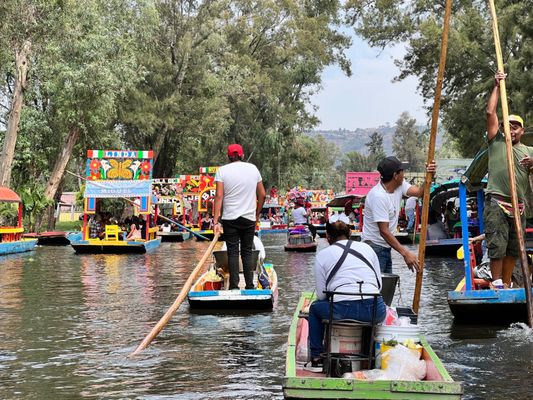 Parque Ecológico de Xochimilco by null