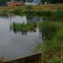 Photo of Lee's Pond