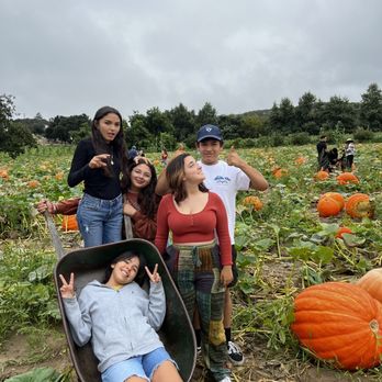 Bates Nut Farm - A fantastic spot for capturing memorable family photos with oversized pumpkins. - Specialty Food Near Me - Valley Center, California Bates Nut Farm - A fantastic spot for capturing memorable family photos with oversized pumpkins. - Specialty Food Near Me - Valley Center, California