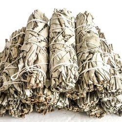 Tobacco Town