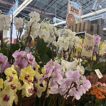 Central Market - Grocery Near Me - San Antonio, Texas